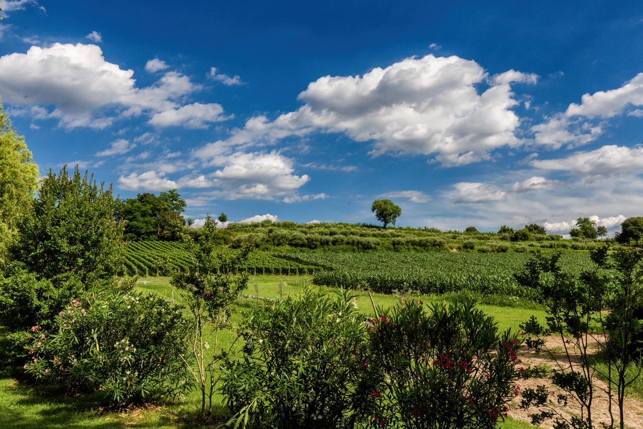 Гостьовий будинок Agriturismo Moscatello Поццоленґо Екстер'єр фото